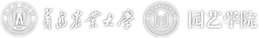 beat365正版唯一入口必一